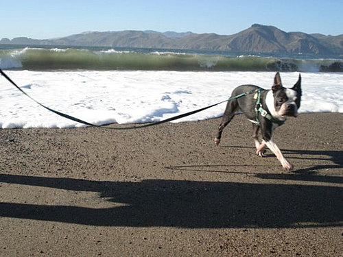 Do Tell: Do Falling Temperatures Change Your Routine? 