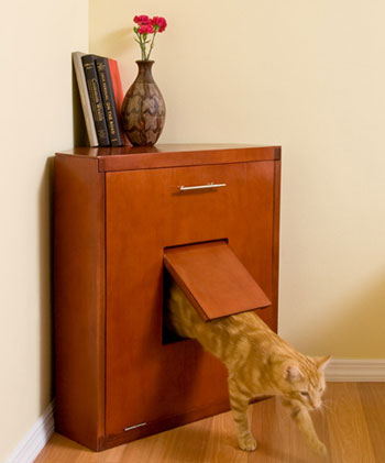 Corner Litter Cabinet: Spoiled Sweet or Spoiled Rotten?