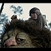 Where the Wild Things Are