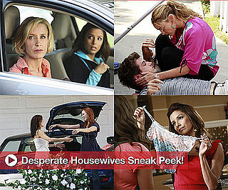 New Promo Photos and Spoilers From Desperate Housewives Season Six