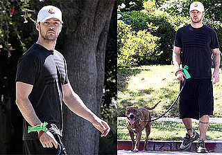 Photos of Justin Timberlake Walking Jessica Biel's Dog