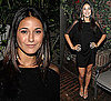 Photo of Emmanuelle Chriqui Wearing Black Mesh Dress at Vodka Party in NYC