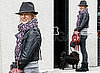 Photos of Sienna Miller