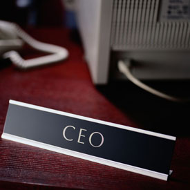 How Did Powerful CEOs Start Their Careers?