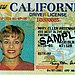 Go to the DMV