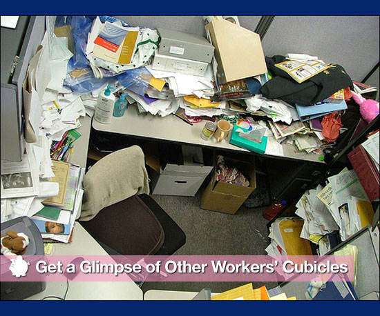 Get a Glimpse of Other Workers' Cubicles Get a Glimpse of Other Workers' Cubicles