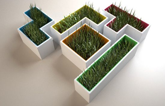 Image Image