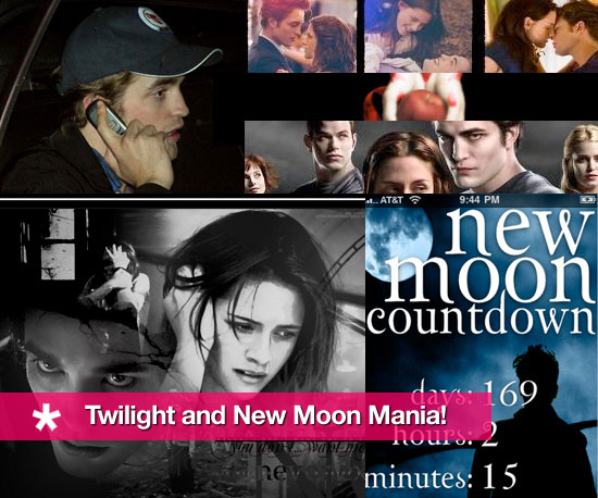 Geeky Twilight and New Moon Mania! 