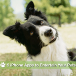 5 iPhone Apps For Pets' Cheap Thrills 5 iPhone Apps For Pets' Cheap Thrills