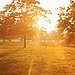 Sam Taylor-Wood Shines