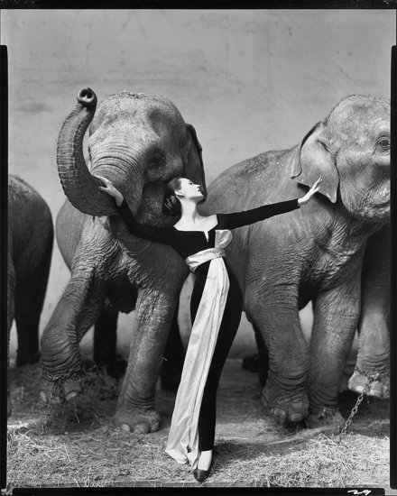 Richard Avedon Exhibit at SFMOMA