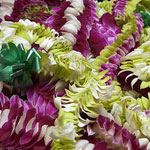 Come Party With Me: Technicolor Luau — The Look Come Party With Me: Technicolor Luau — The Look