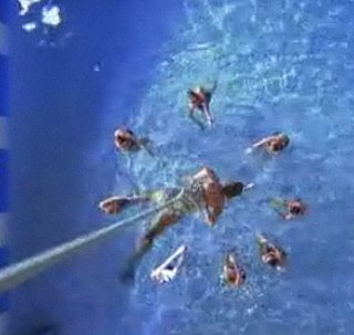 FABTV: Red Hot Chili Peppers "Aeroplane"