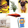 Foolish Ways People Prep For Parenthood  