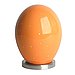Starry Egg