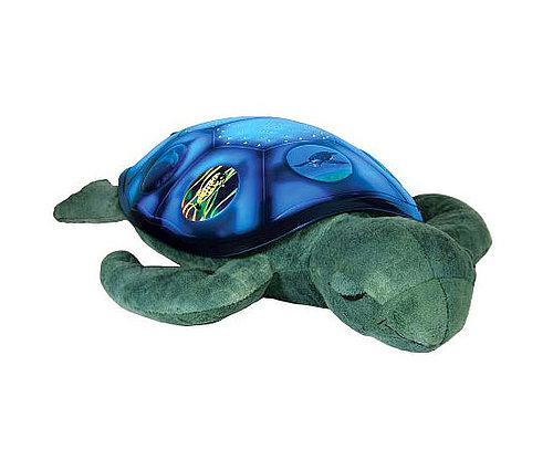 An Illuminating Turtle An Illuminating Turtle