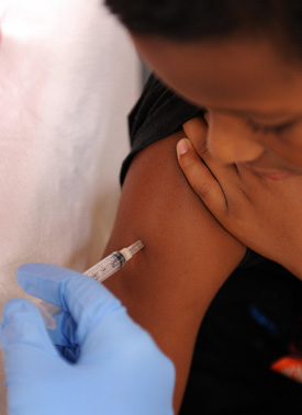 Swine Flu Facts