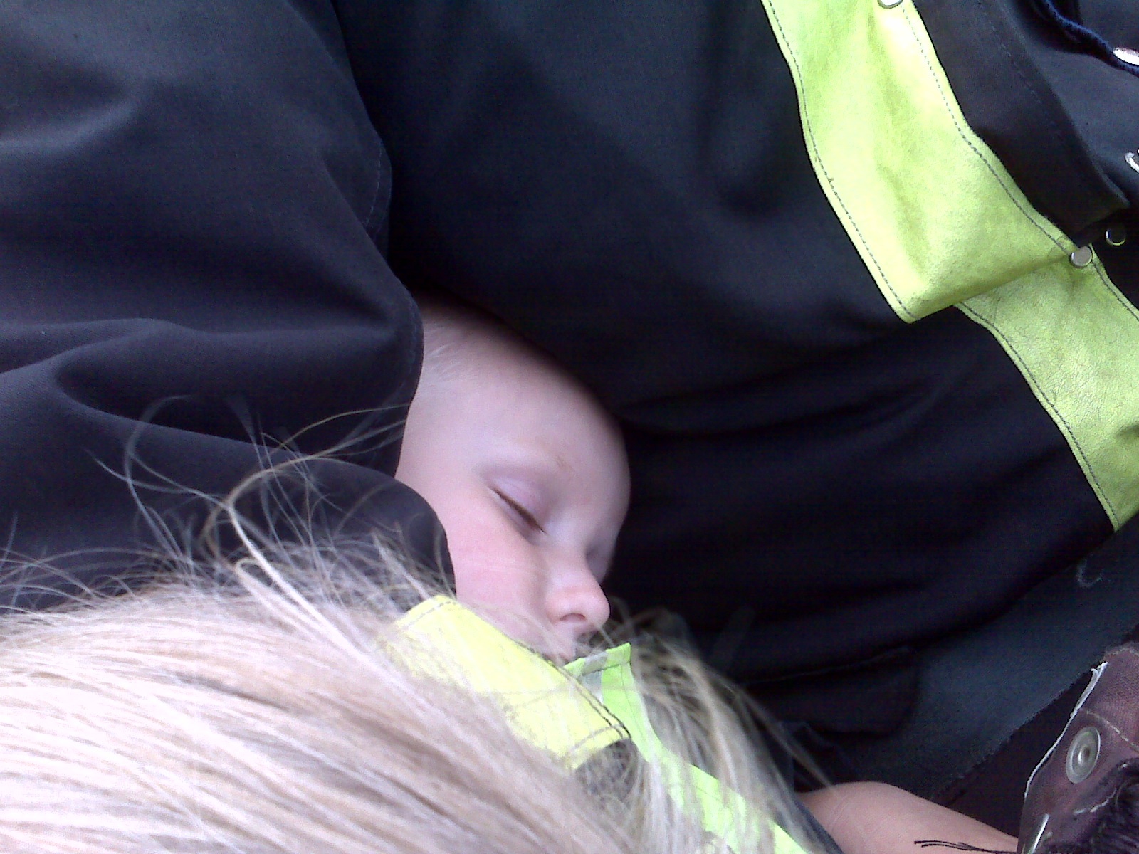 Wiped Out From the Excitement Wiped Out From the Excitement