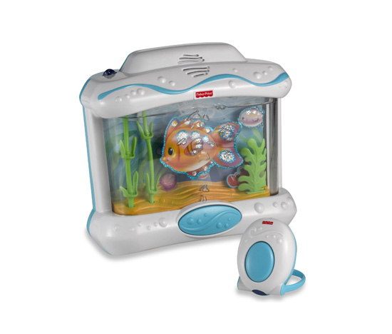 An Aquarium An Aquarium
