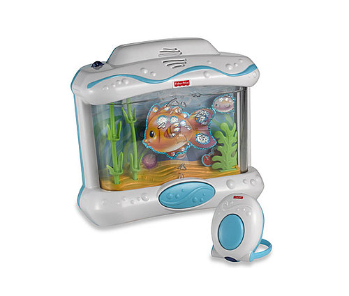 An Aquarium An Aquarium