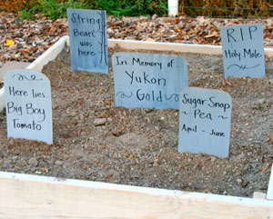 Lil Links: A Spooky Vegetable Garden