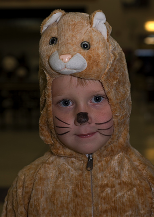 Inexpensive Animal Costumes for Kids