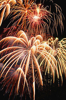 Fireworks and Your Delicate Ears 