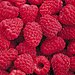 Raspberries