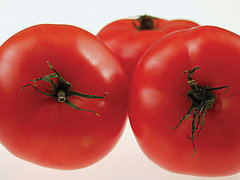 Adding Fat to Tomatoes Helps the Body Metabolize the Nutrients