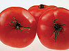 Adding Fat to Tomatoes Helps the Body Metabolize the Nutrients
