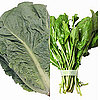 Build a Better Salad: Quiz