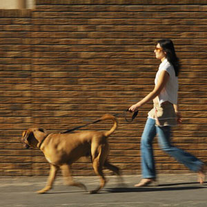 Fit Tip: Take Up a New Fitness Habit