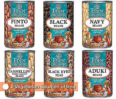 8 Vegetarian Sources of Iron