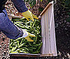 7 Ways to Eat Green and Lose Weight