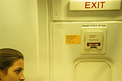 When Pigs Fly: Airline Travel and Swine Flu When Pigs Fly: Airline Travel and Swine Flu