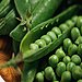 Peas