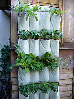 Cool Idea: A Shoe Organizer as a Vertical Garden