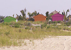 Love It or Hate It? Neon Beach Shacks Love It or Hate It? Neon Beach Shacks
