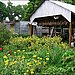 Boggy Creek Farm, Austin, TX