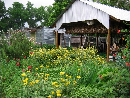 Boggy Creek Farm, Austin, TX Boggy Creek Farm, Austin, TX