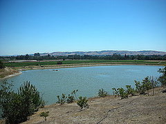 Do You Have a Lake or Pond on Your Property? 