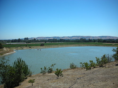 Do You Have a Lake or Pond on Your Property? 