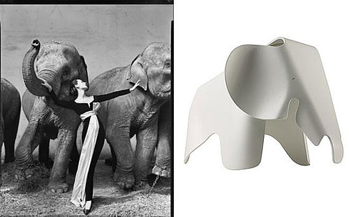 Inspired: Richard Avedon's MoMA Exhibit