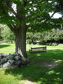 Do You Have a Swing on Your Property?