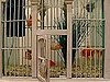 11 Alternative Uses For Birdcages