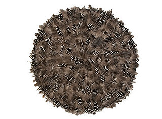 Guess What This Placemat Is Made From?