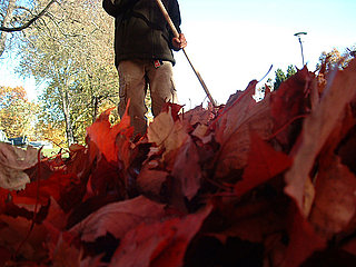 Open House: Least Favorite Fall Chores