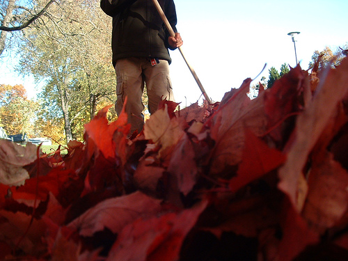 Open House: Least Favorite Fall Chores