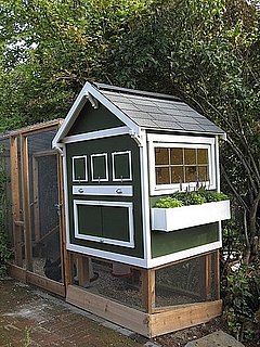 How-To: House Backyard Chickens in Style