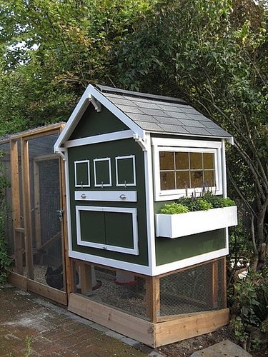 How-To: House Backyard Chickens in Style